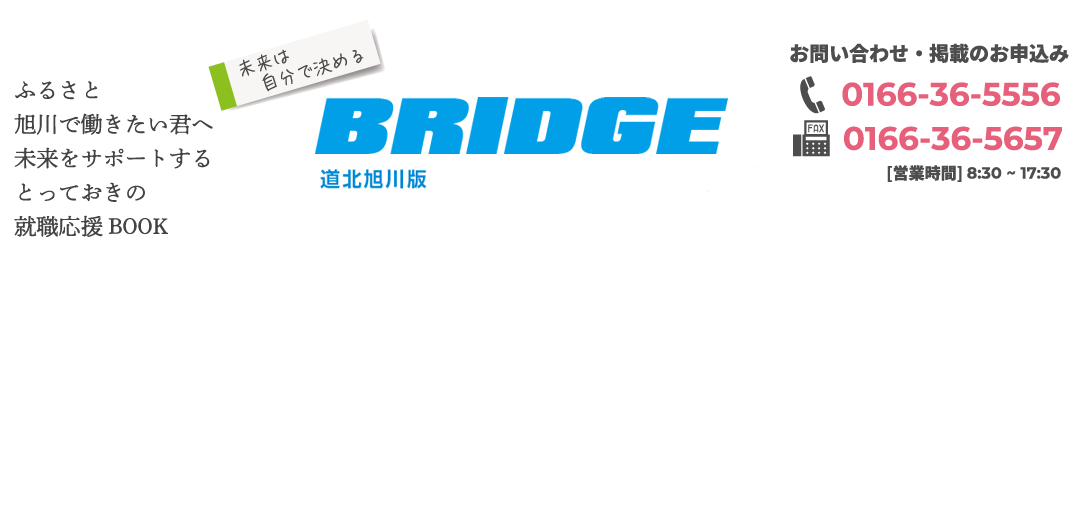 BRIDGE